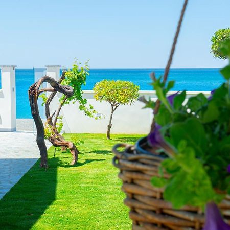 Mbaccimari B&B Cetraro Exterior photo