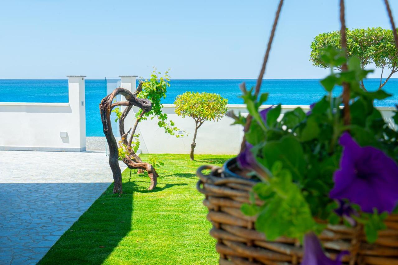 Mbaccimari B&B Cetraro Exterior photo